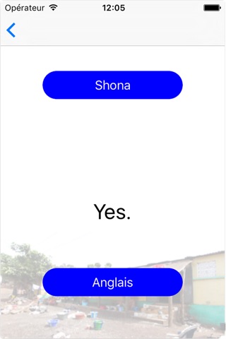 ShonaEnglish screenshot 4