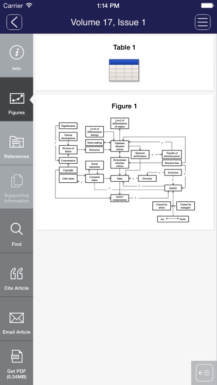 International Journal of Management Reviews screenshot-3