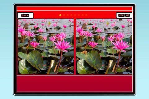 Find the difference - The more beautiful pictures screenshot 3
