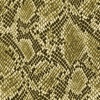 Snake Print Wallpapers HD: Quotes Backgrounds Creator with Best Designs and Patterns