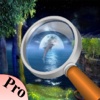 The Moon Light Hidden Object