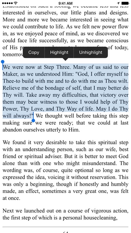 12 Steps Companion