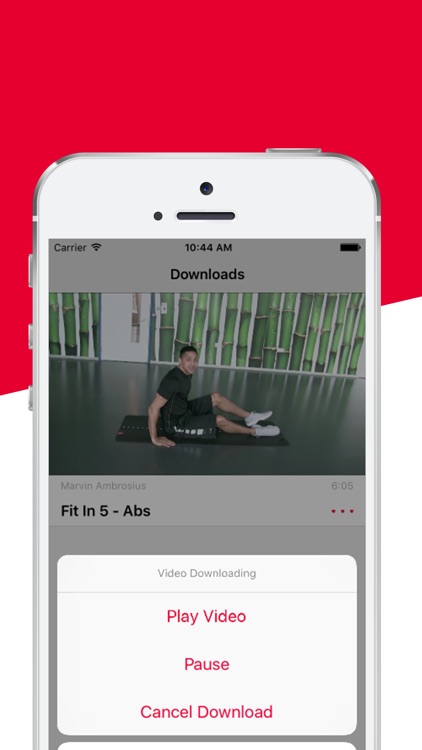 Fit Freaks - The fit in 5 fitness workout routine screenshot-4