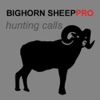 REAL Bighorn Sheep Hunting Calls - 8 Bighorn Sheep CALLS & Bighorn Sheep Sounds! -- (ad free) BLUETOOTH COMPATIBLE