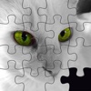 Super Cute Kitty Cat Puzzle Pro