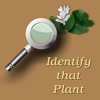 Plant Identification Terminology