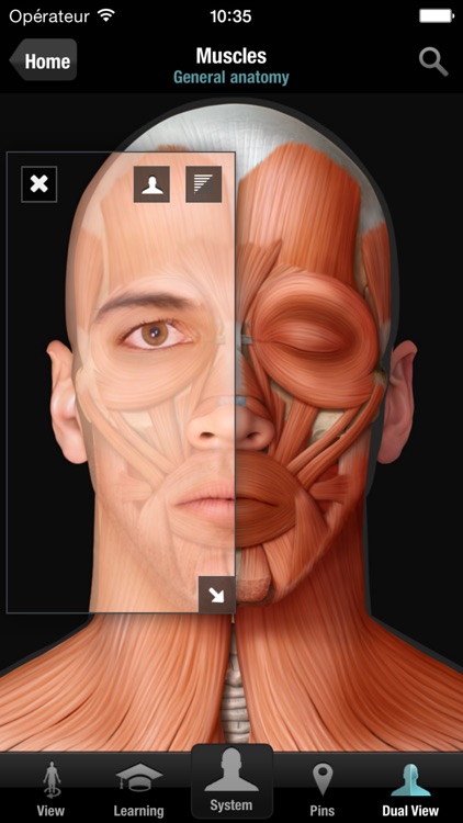Virtual Human Body