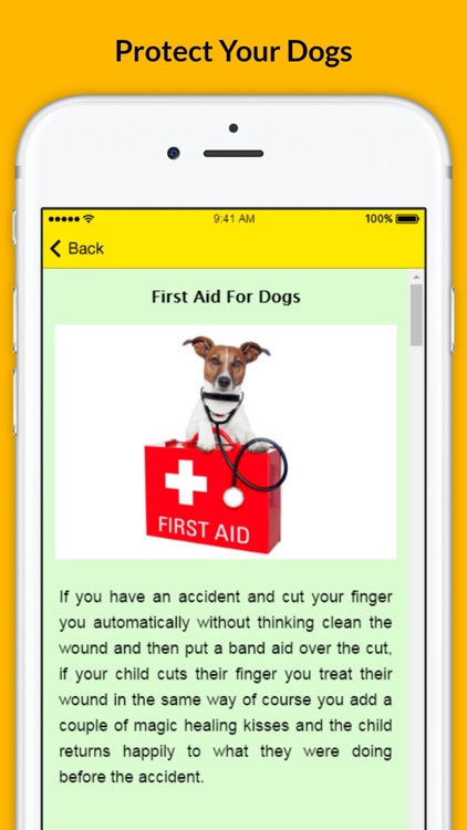 Pet First Aid - Responsibilities of a Pet Owner