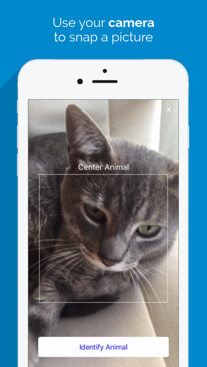 Animal Identifier - Animal Identification From a Picture(圖2)-速報App