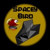 Spacey Bird