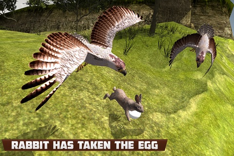 Real American Falcon Wild Sim screenshot 3