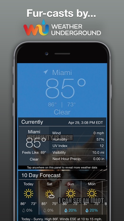 Grumpy Cat Weather screenshot-3