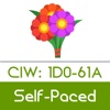 CIW: 1D0-61A - Internet Business Associate