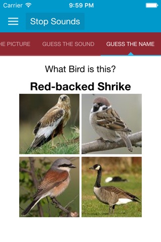 UK Birds and Sounds screenshot 3