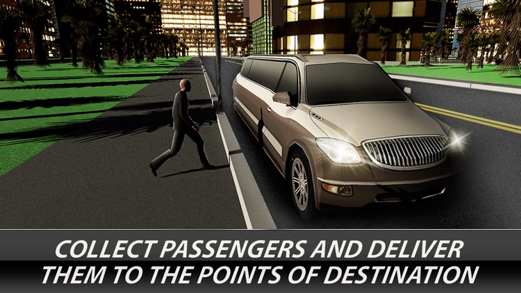 Hotel Limo Driver: Valet Parking Full