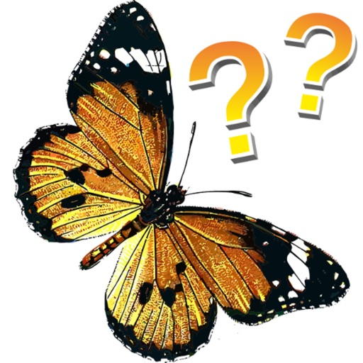 Butterflies - quiz Icon