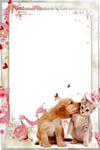 FREE Birthday Frames - náhled