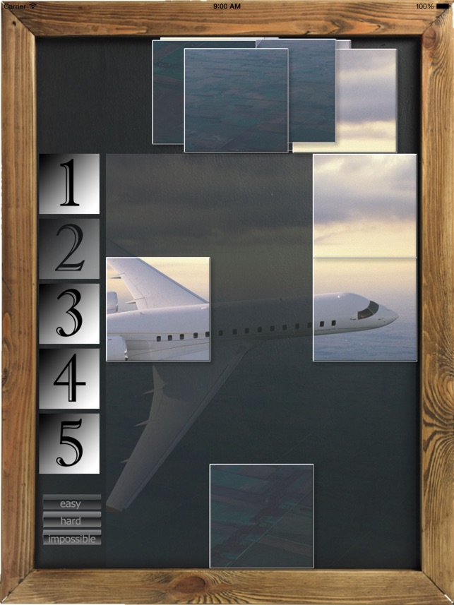 Plane Puzzle.