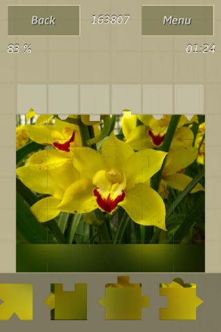 Flowers Colors Great Puzzle screenshot 2