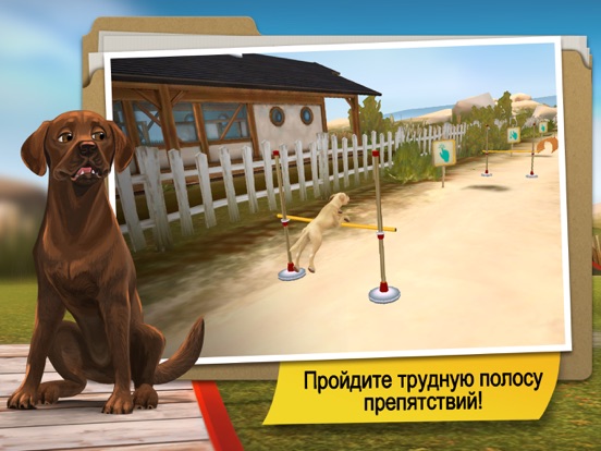 Скачать игру DogHotel Premium - Мой отель для лабрадоров