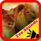 Mega Zoo Sounds Laugh and Learn With Amazing Animal Voices for Baby and Toddler