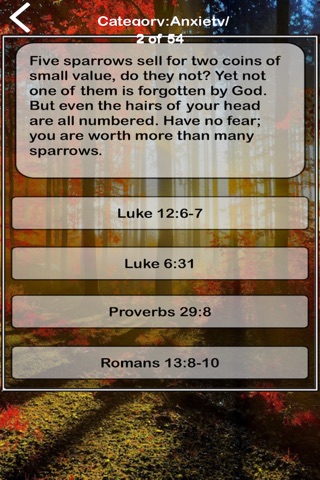 Scriptures For Anxiety screenshot 2