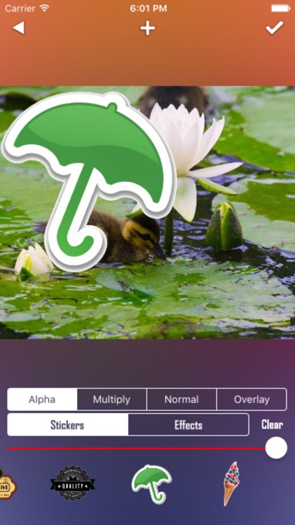 Vid Sticker screenshot-3