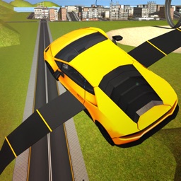 Flying Muscle Car simulator