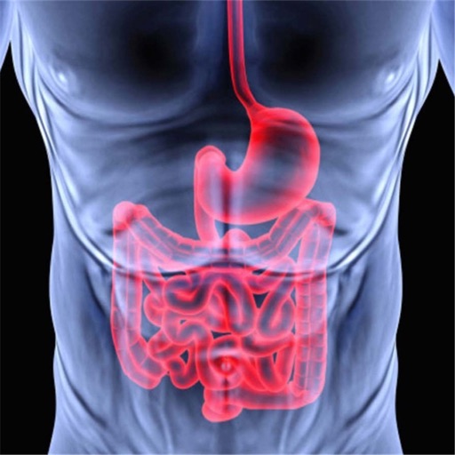 Digestive System:Health and Diet,Guide