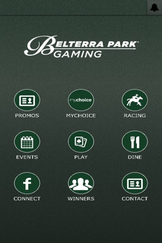 Beltterra Park Gaming screenshot 4