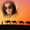 This is amazing app for photo in DESERT PHOTO FRAME