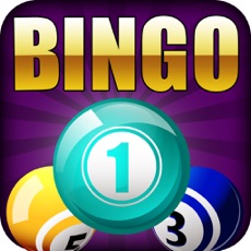 Activities of Bingo Bumper Prize Pro