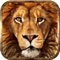 Lion Simulator 3D - Play As Angry Lion In Jungle Safari Animal Hunter Game