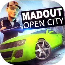 Activities of MadOut Open City