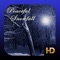 Peaceful Snowfall HD in full screen HD with gorgeous Winter Scenes coupled with real like falling snow, with a choice of ambient and Christmas music and snowfall SFX