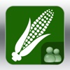 ScoutPro Consulting Corn