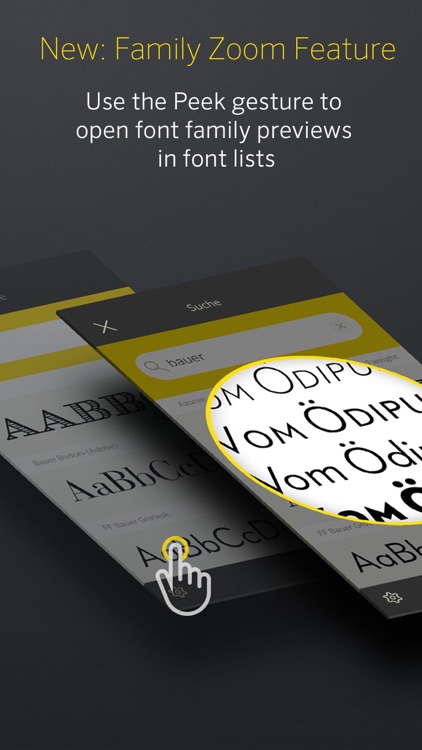 FontBook™ – The Original Typeface Compendium, est. 1989