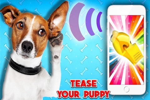 Dog Whistle - ultrasound. Train your dog with ultrasonic whistle screenshot 2