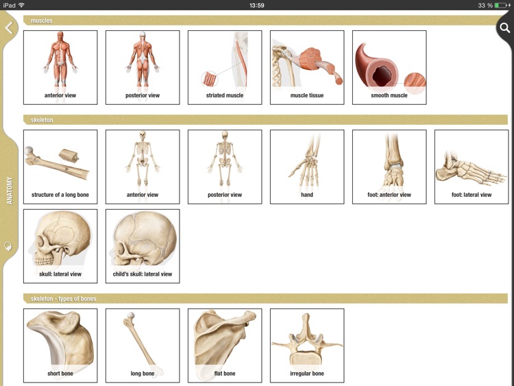 Merriam-Webster The Visual + screenshot-3