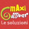 Le soluzioni di Maxi Gulliver