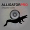 Alligator calls and alligator hunting calls with alligator sounds perfect for alligator hunting