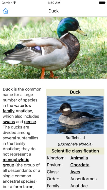 CHI Encyclopedia of Animals screenshot-3