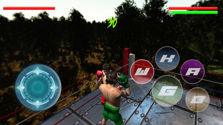 International Real Boxing Champion Game screenshot-3