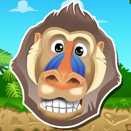 A Baboon Ape Match icon