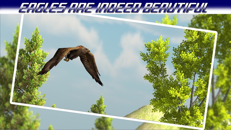 Bird hunting Game: Best Bird Hunter in Eagle Hunting Birds Game of 2016 screenshot-3