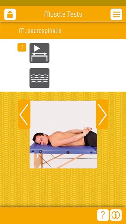 Muscle Test part 1