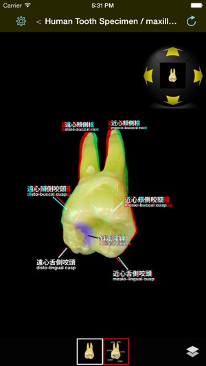 Medical KOS(圖4)-速報App