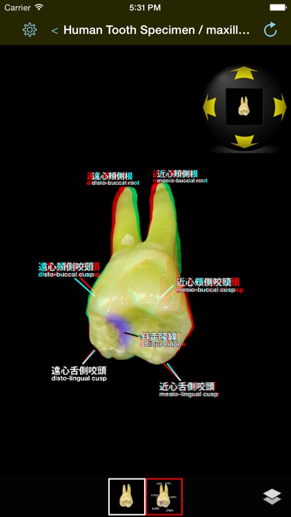 Medical KOS screenshot-3