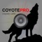 Vrais appels et sons pour chasse au coyote - COMPATIBLE AVEC BLUETOOTH