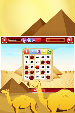 Bingo Big Win Pro screenshot 3